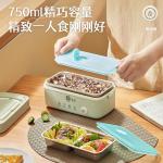 Electric lunch box with automatic power-off, heat preservation